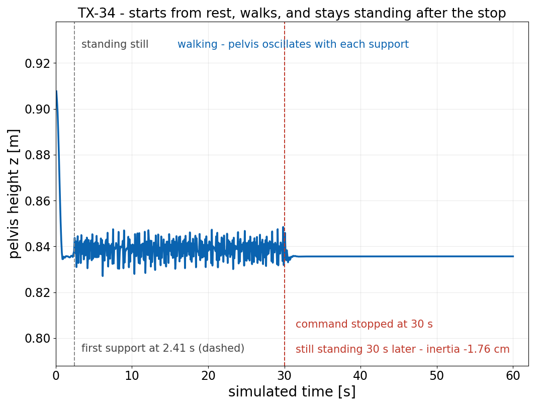 Hip height across start, walk and stop