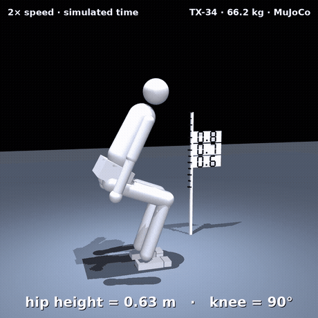 Squat